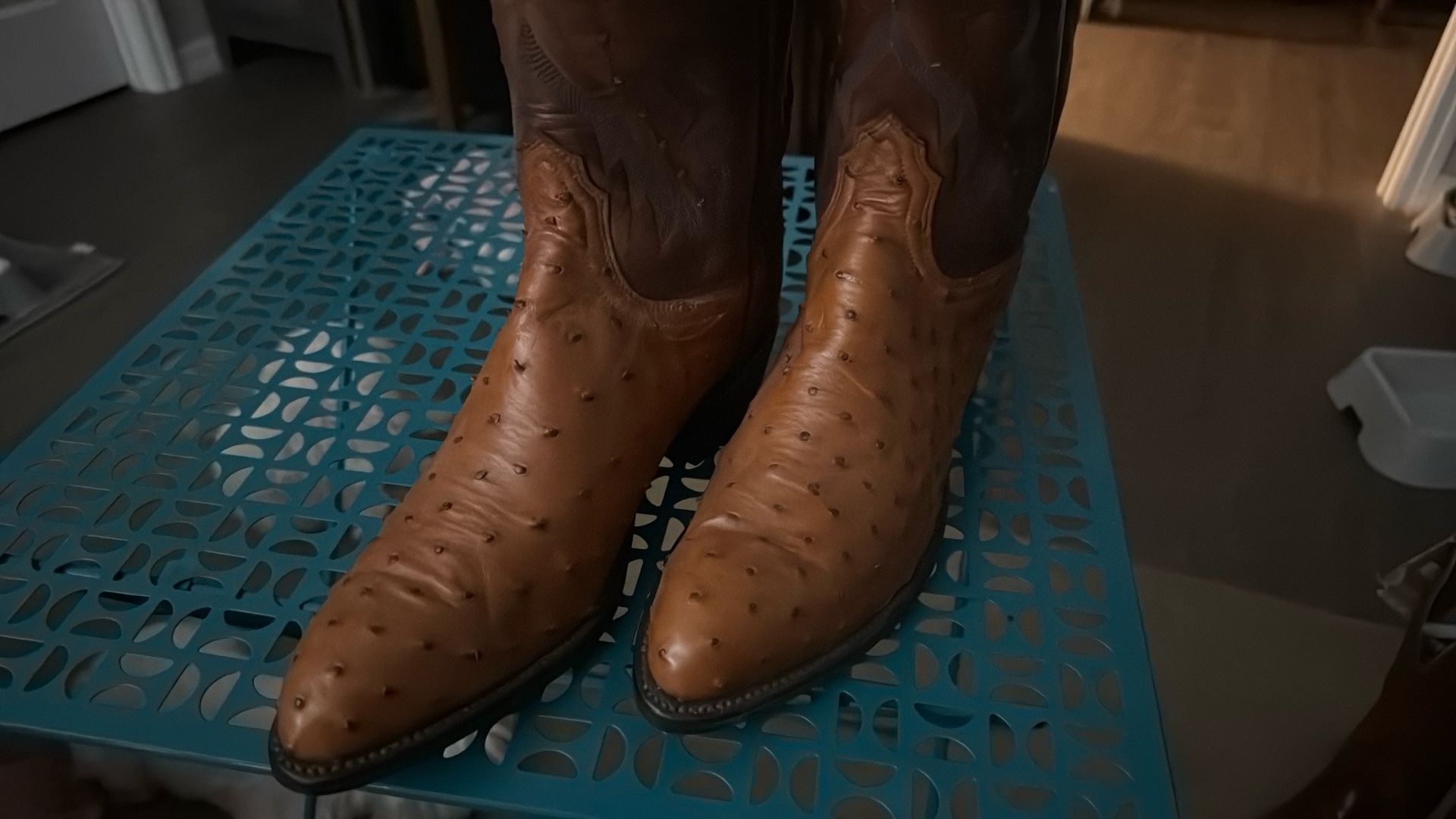 Women’s Ostrich, Cowboy Boots