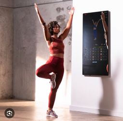 NEW Echelon Reflect 50” Smart Fitness Mirror – Factory Sealed – $699