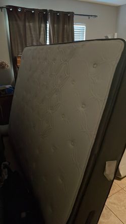 Queen Mattress Sealy Brand