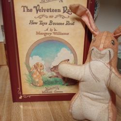 Velveteen Rabbit Book And Rabbit