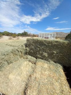 Bermuda cow hay ‼️ $10 👌