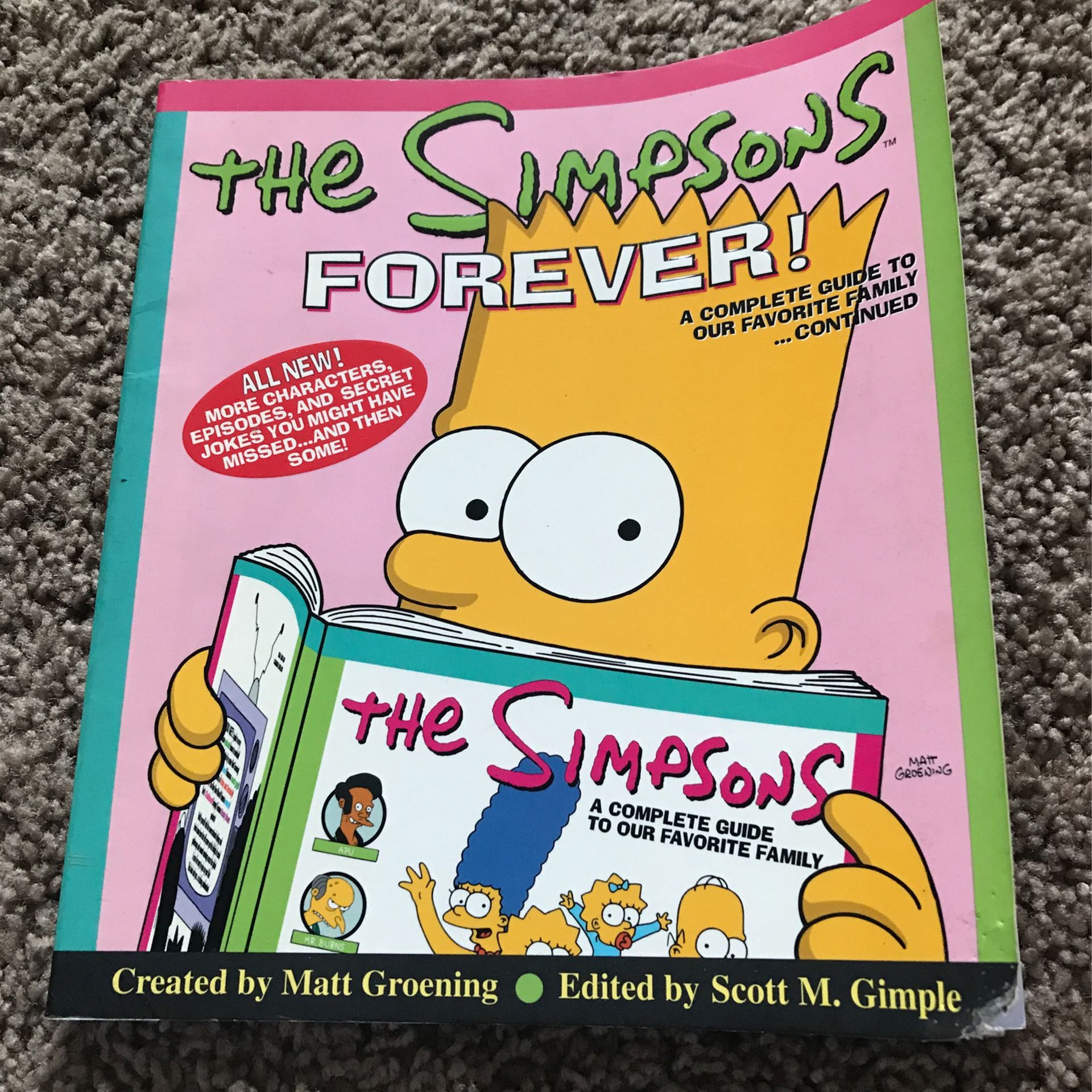 Simpsons Book