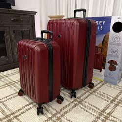 Delsey Hardside Spinner Luggage Set