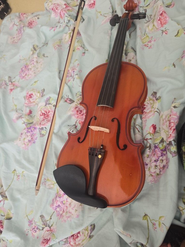 Violin
