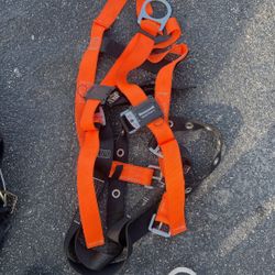 Safety Harness