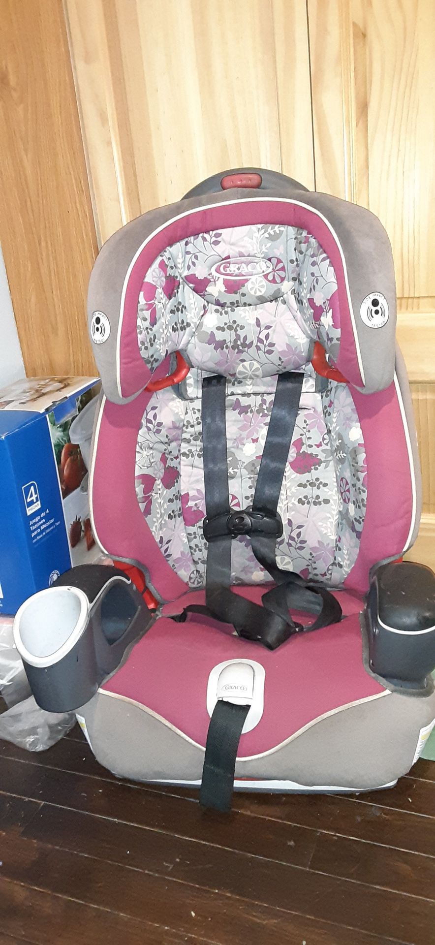 Girl Toddler Car Seat
