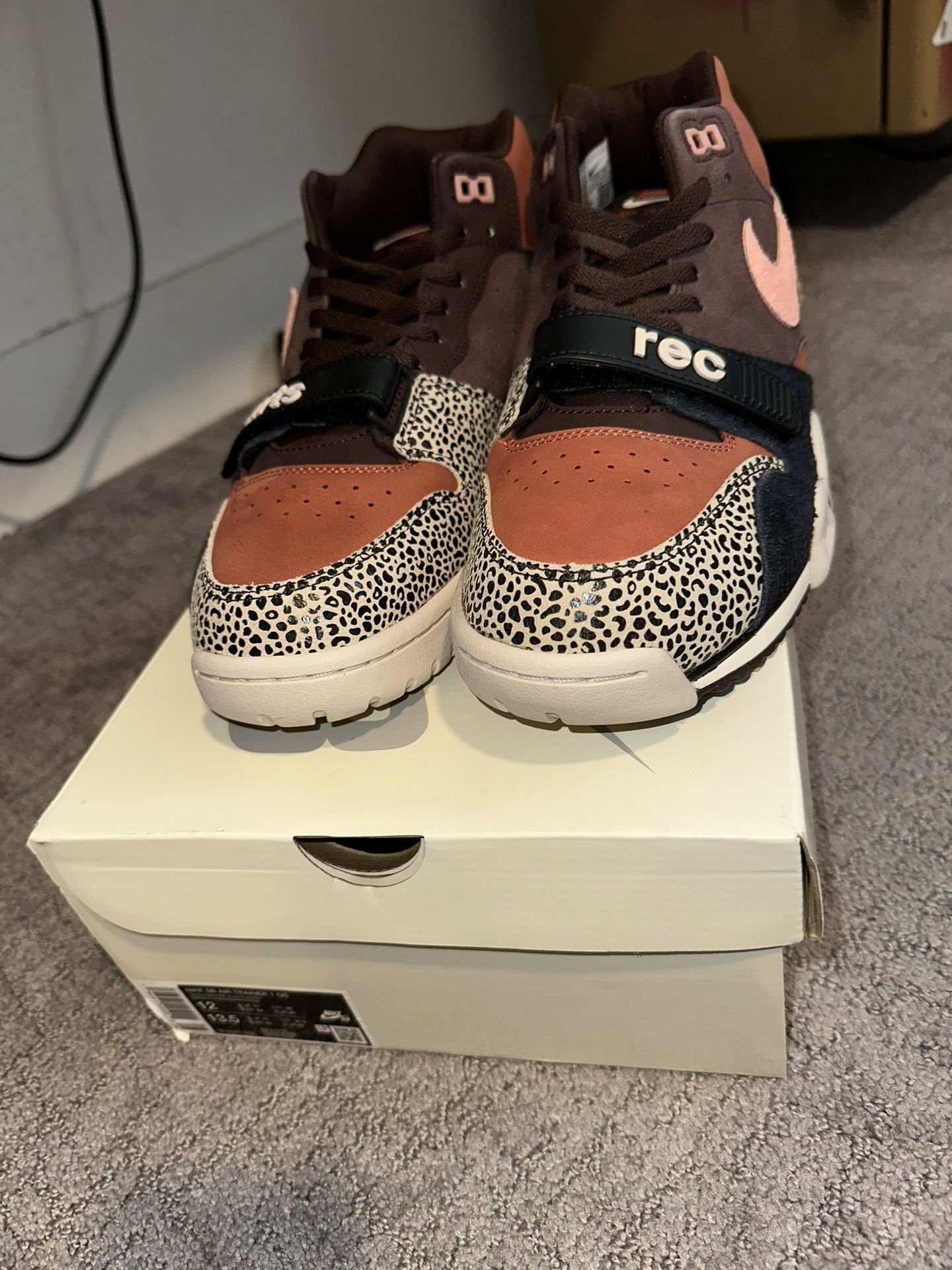 Nike Sb Air Trainer 1 Arts rec