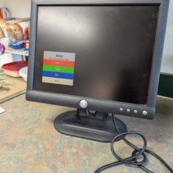 Dell 15-in monitor