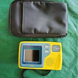CITIZEN COLOR TV & MONITOR WITH AM/FM RADIO 