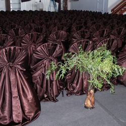 Brown Wedding Decor Decorations Curtains overlays Chair Covers  