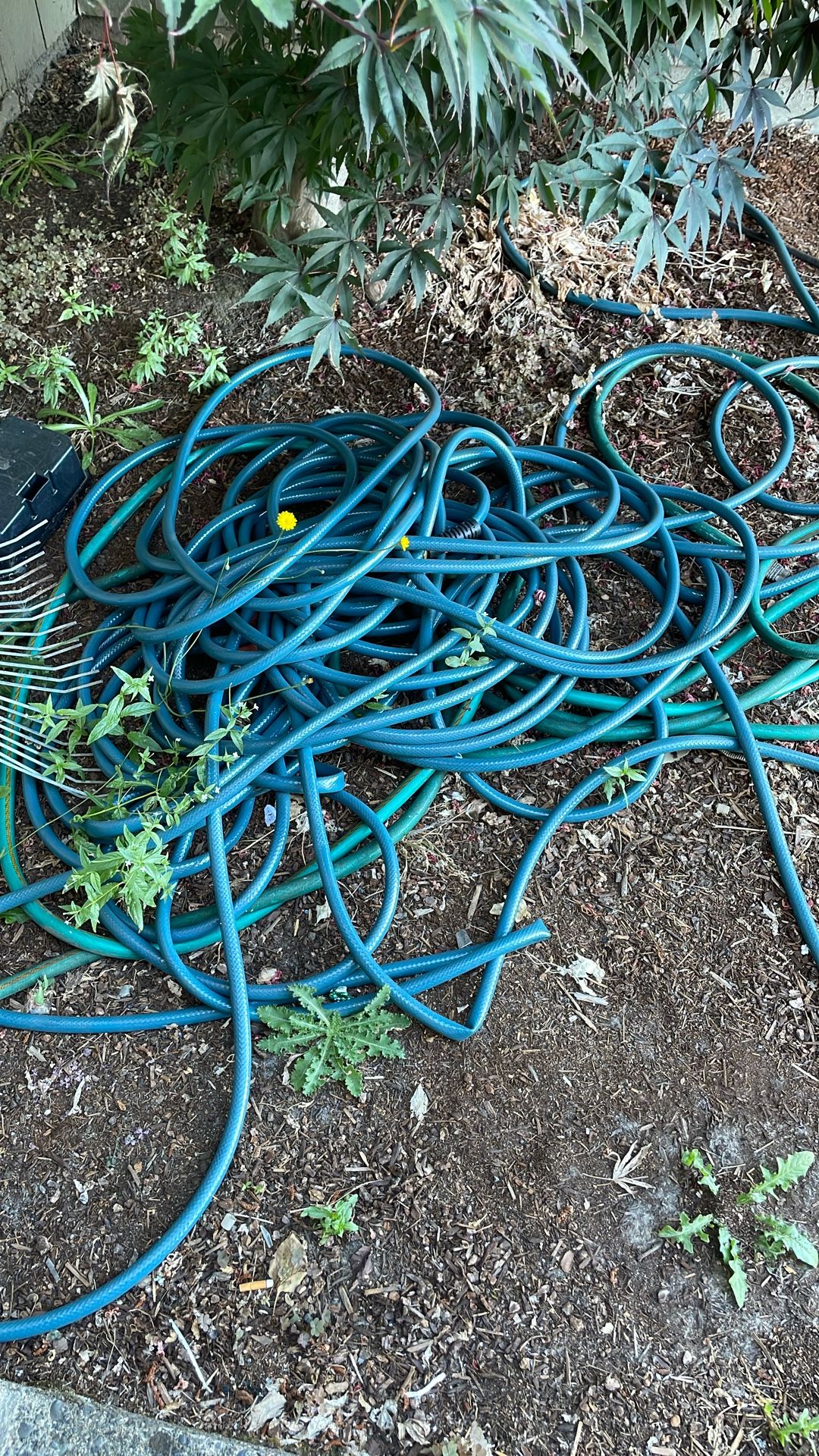 2 100ft Hoses