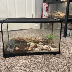 10 Gallon Terrarium 