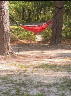 Hammock