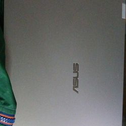Asus Chromebook Cx1700ck