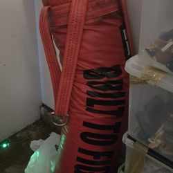 Punching Bag Built To Fight 5ft Filled