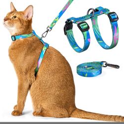 Harness And Leash 
