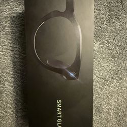 AI Smart Glasses