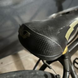 Gold Big Ripper SE Bike
