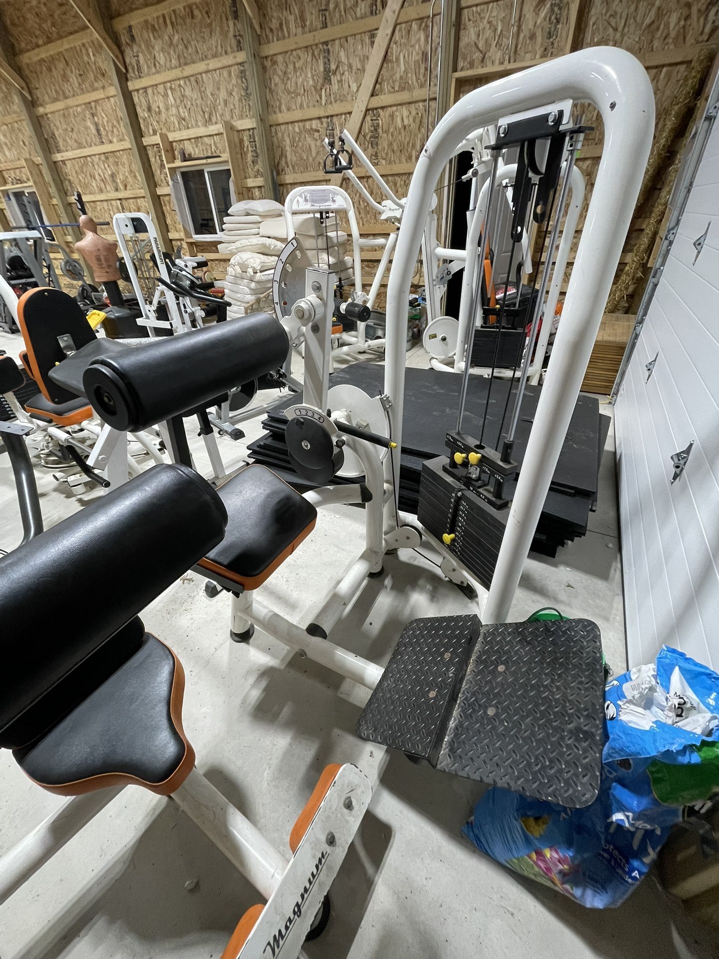 Pin Loaded Lower Back Extension