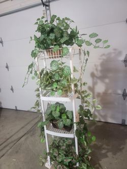 Metal shelf for flowers