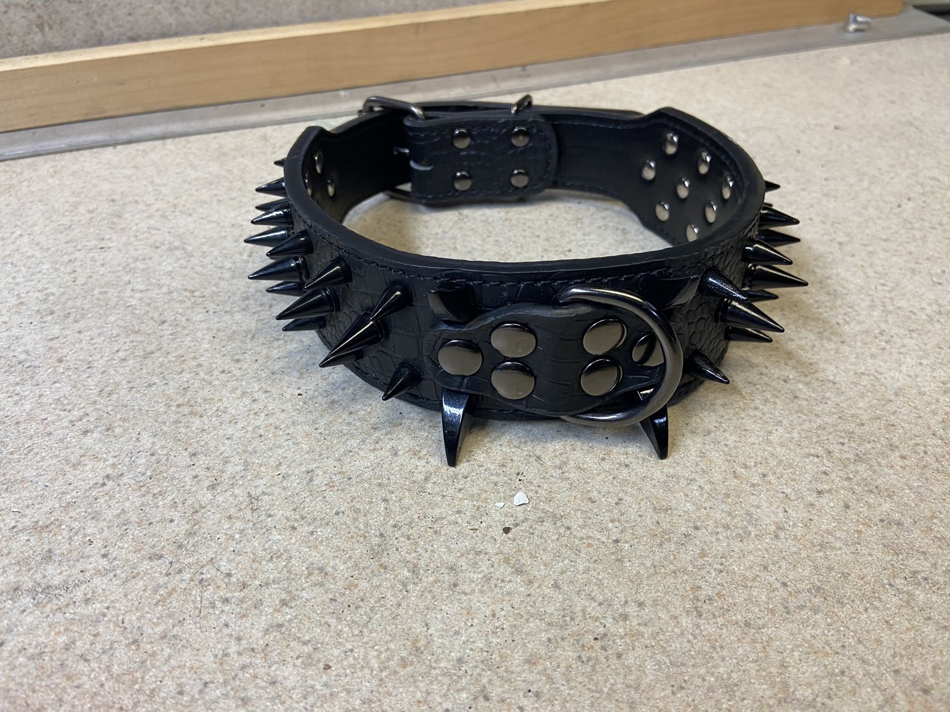 Spiked Dog Collar