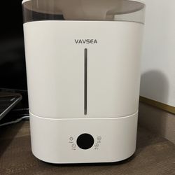 Humidifier With Build In Diffuser