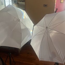 Photography umbrellas
