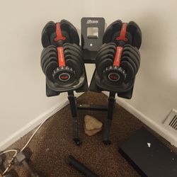 Bowflex Dumbells