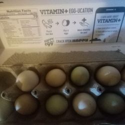 Chicken Eggs Huevos De Gallinas 