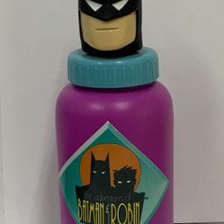 The Adventures of Batman & Robin 11 Ounce Juice Water Bottle Fun 4 Kids Designs