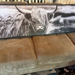 Home Decor, Bull Wall Picture