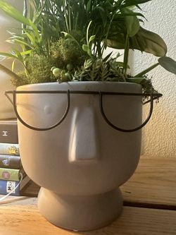 Live Plant 🪴 With a Modern dark gray ceramic Pot