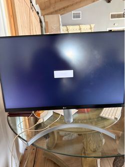 LG Gaming Monitor- $100