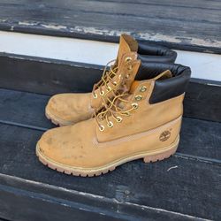 Men Timberland 