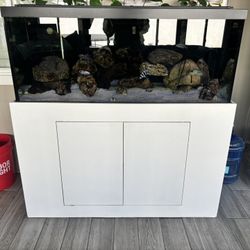 Fish Tank Aquarium 