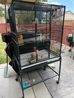 Cage for bird