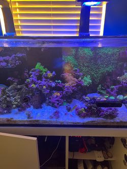 Redsea reefer 350 G1