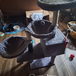 New Cat Tree I Need Room 