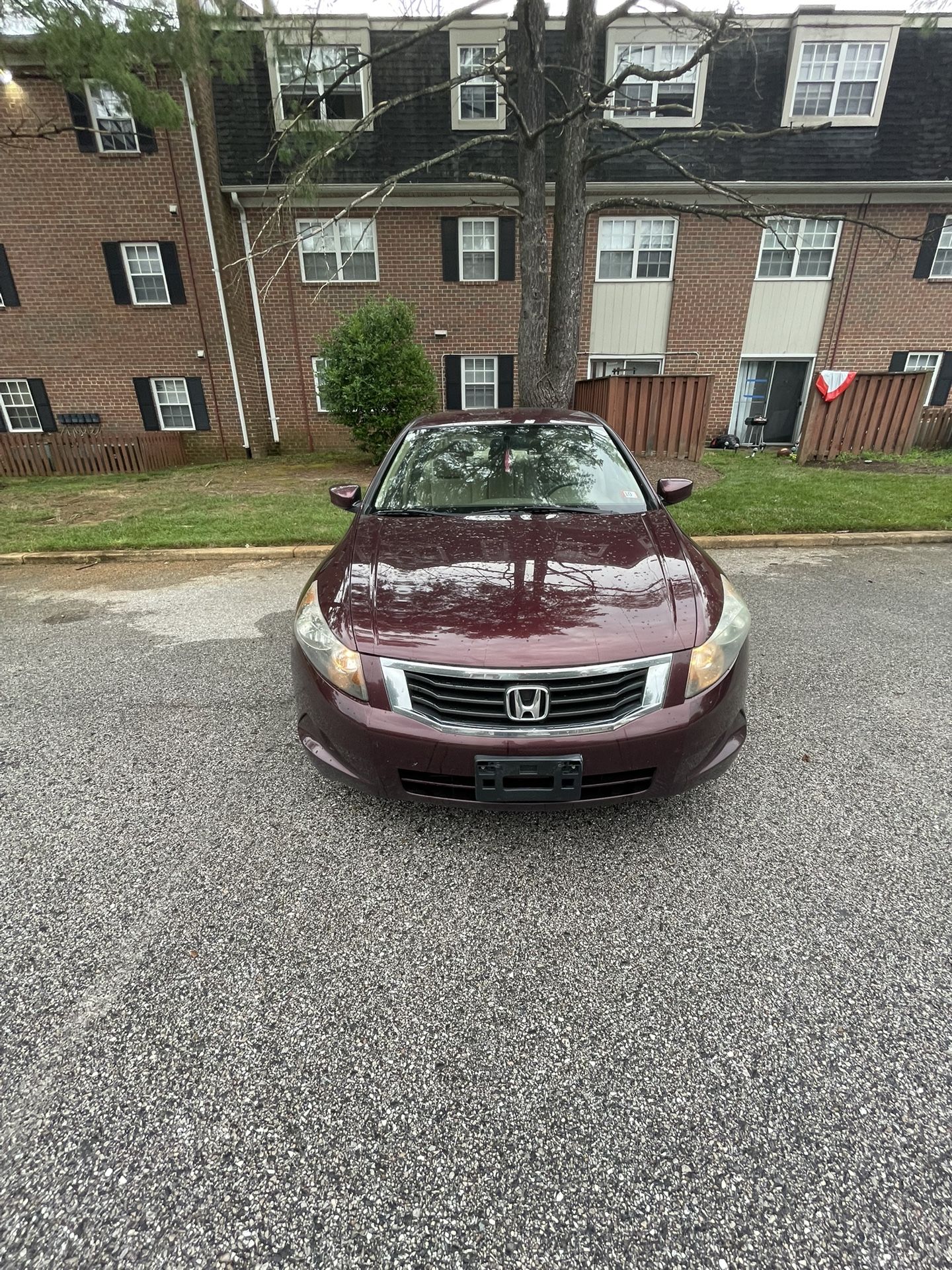 2010 Honda Accord