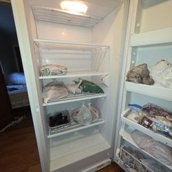 FRIGIDAIRE Freezer Works Good Working CLEAN 