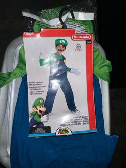 Luigi costume
