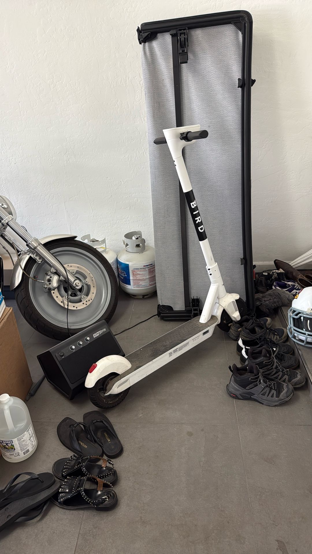 Bird one scooter
