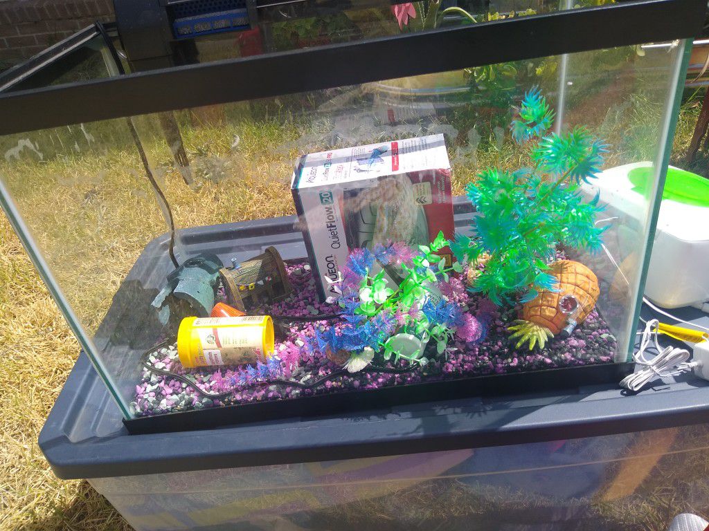 Fish Tank 