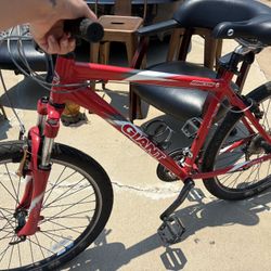 Mountain Bike 