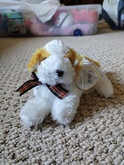 Beanie baby Darling dog DOB Aug 2000