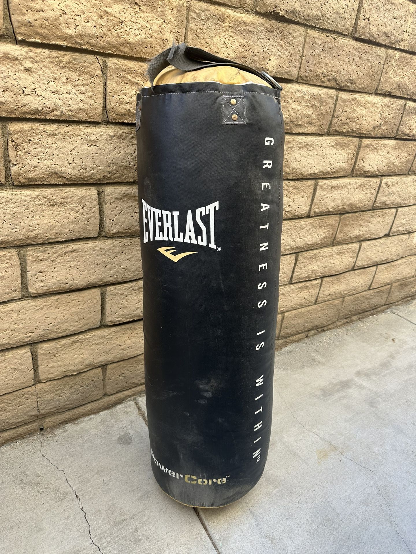 Everlast Punching Bag