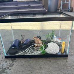 10 Gallon Fish Tank Bundle Cash Or Zelle Only