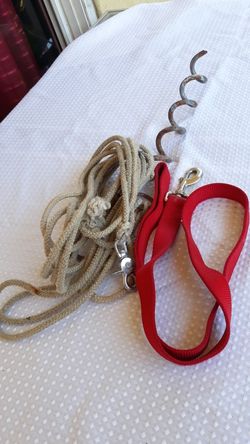 NECKLACE FOR 🐶DOG