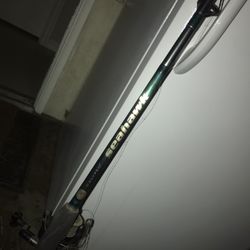 Fishing Rod