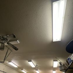 Lithonia Lighting Fluorescent Round 2 lamp, 4 feet, MultiVolt Wraparound Light